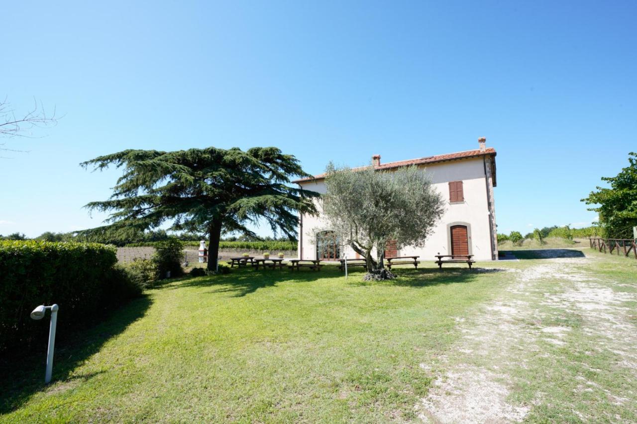 Agriturismo Vigna Sul Lago Montefiascone Dış mekan fotoğraf