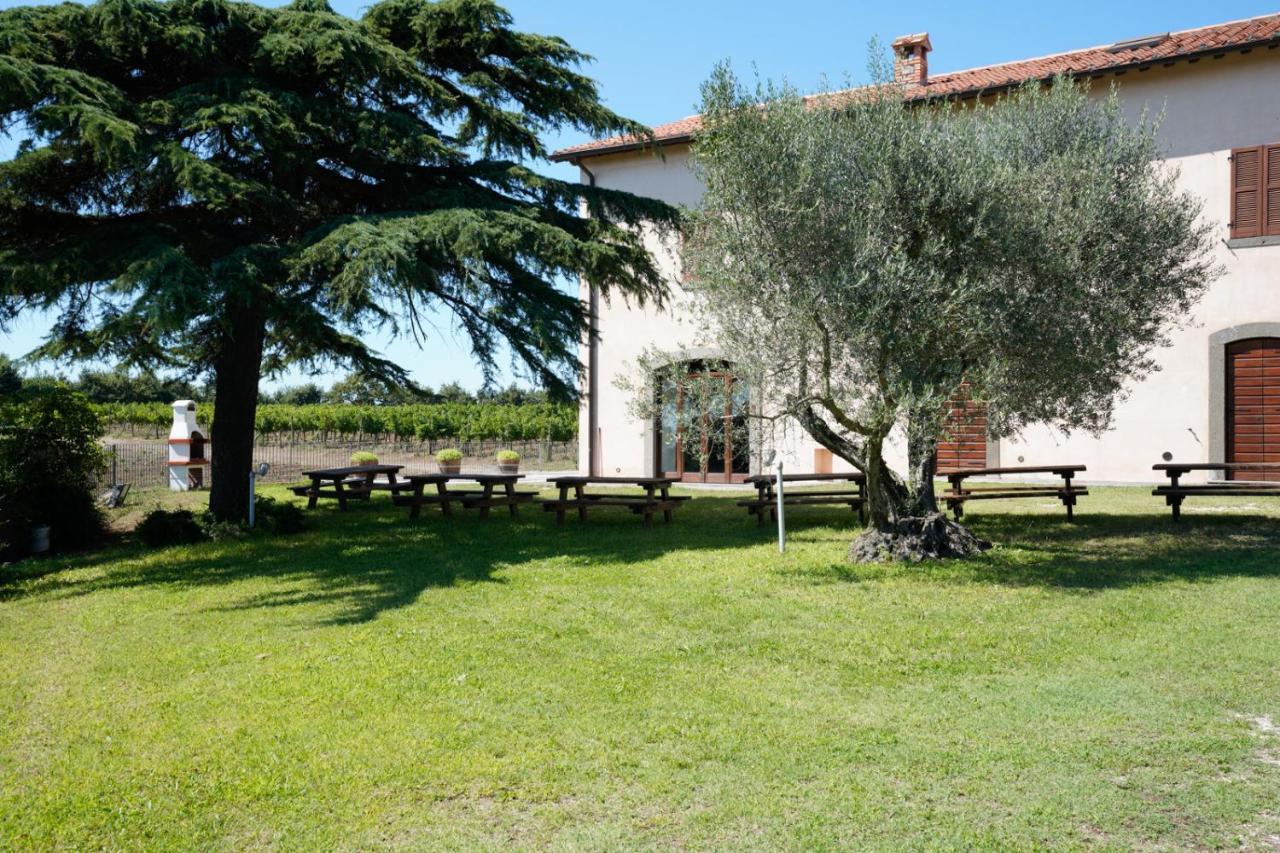 Agriturismo Vigna Sul Lago Montefiascone Dış mekan fotoğraf