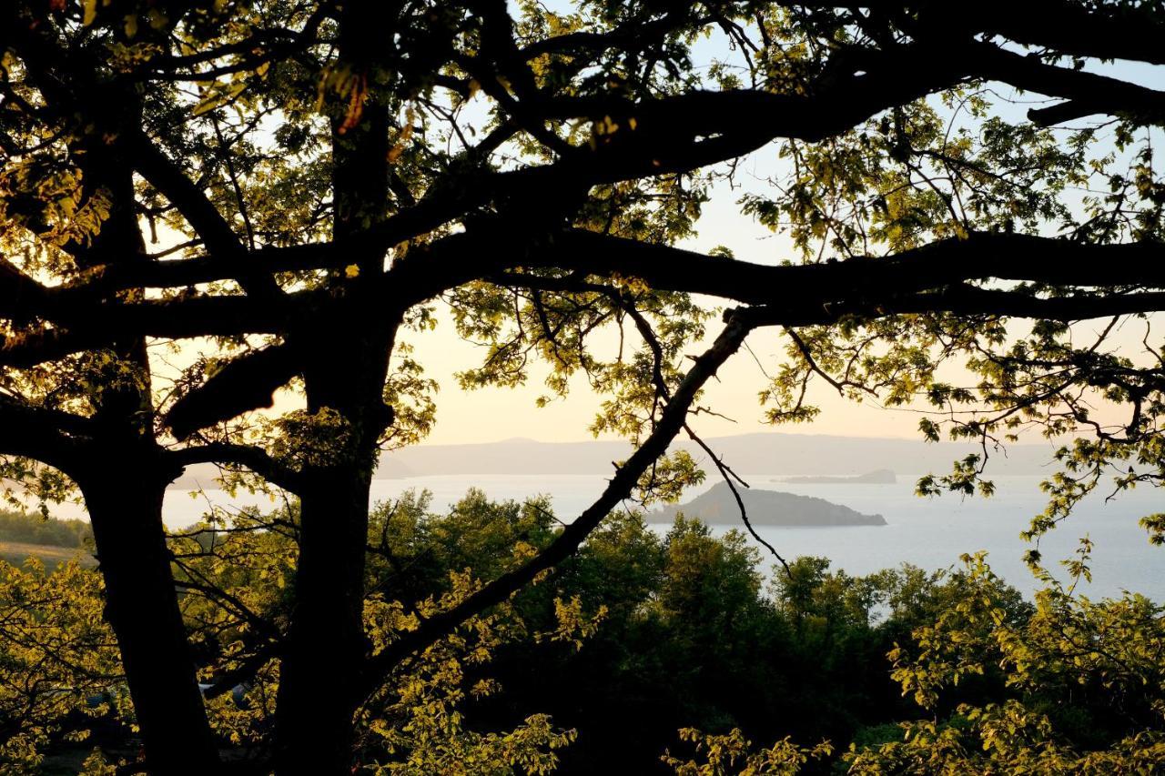 Agriturismo Vigna Sul Lago Montefiascone Dış mekan fotoğraf