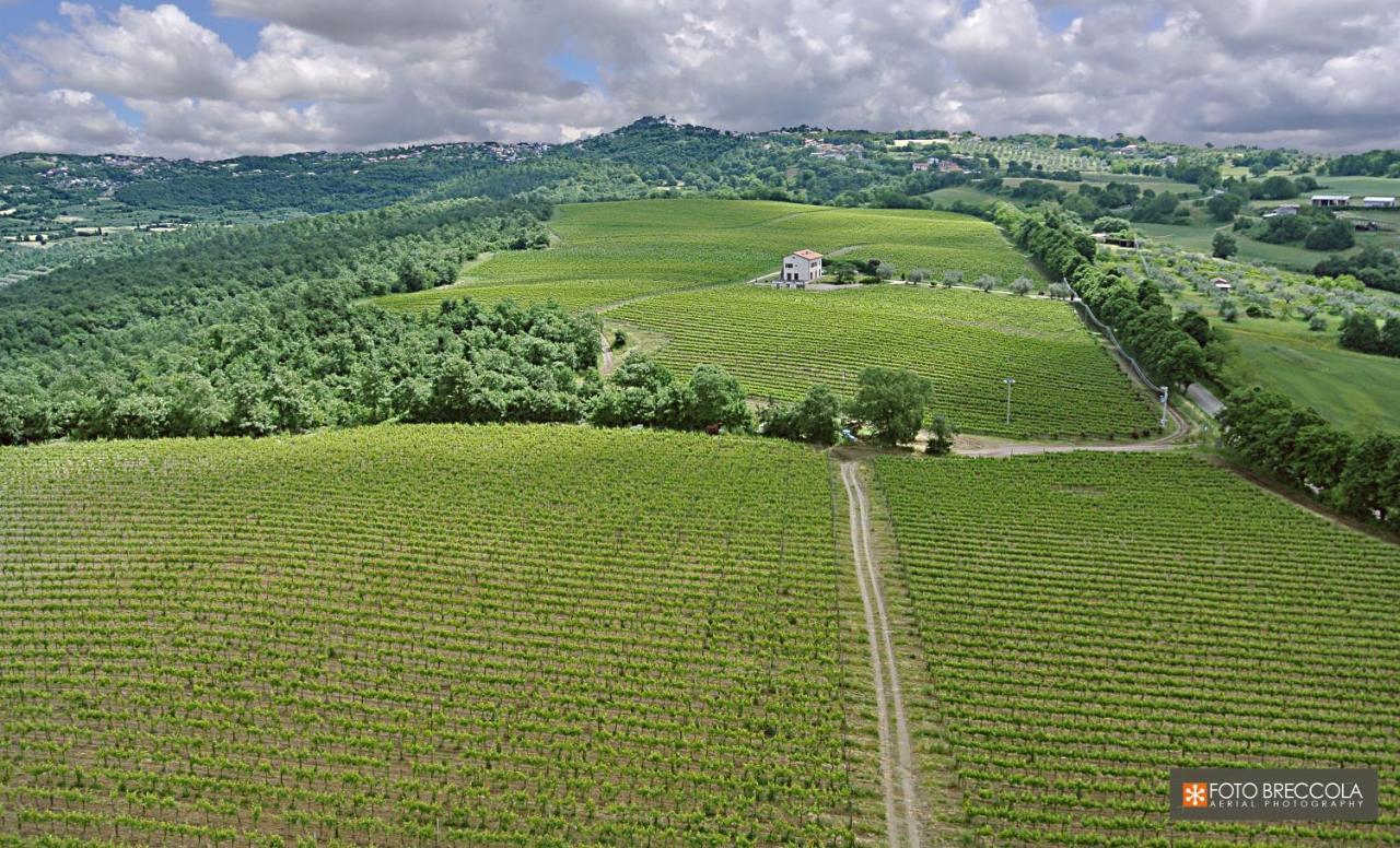 Agriturismo Vigna Sul Lago Montefiascone Dış mekan fotoğraf